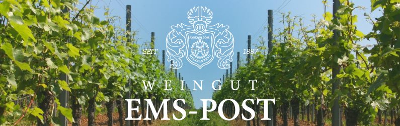 Weingut Ems Post aus dem Rheingau
